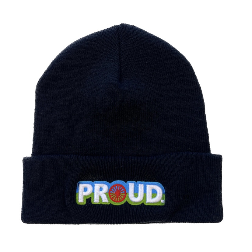 Proud 3D Flag Beanie